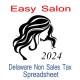 Delaware Non-Sales Tax Hairdresser Bookkeeping Spreadsheets for 2024 year end