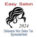 Delaware Non-Sales Tax Hairdresser Bookkeeping Spreadsheets for 2024 year end